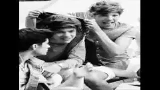 Larry Stylinson