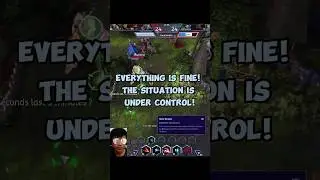 EVERYTHING IS FINE! THE SITUATION IS UNDER CONTROL