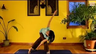 World Wellness Wish - January 2015 Challenge Day 23 of Yoga-Pilates Practice with Vidya Nahar