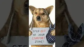 People stay in their comfort zones because they're afraid of success.