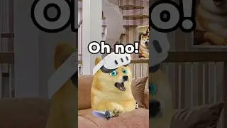 lil doge forgets about his summer reading homework and rushes to get it done