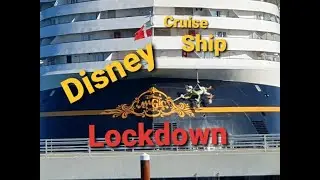 Disney Magic in Dover - 2020 Lockdown