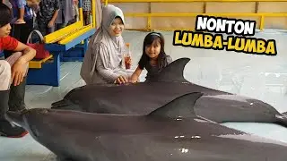 PERTUNJUKAN ATRAKSI LUMBA LUMBA