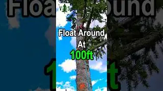 Floating Around At 100ft! #arborist #climbing
