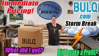 Распаковка Bulq.com с мгновенными цифрами прибыли &mdash; потрясающие размеры! &mdash; Онлайн-перепродажа