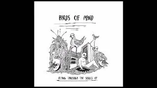 Birds of Mind - Flying Through The Souls ( 2016 )