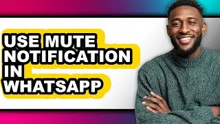 How to Use Mute Notification in Whatsapp - Step by Step