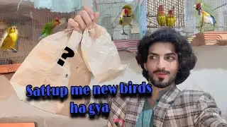 Es bar konsa bird ha raha ha 🤔(bhoot cute ha wo pet😘