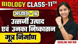 Class 11th Biology मूत्र निर्माण | L-3 Chapter 16 उत्सर्जी उत्पाद एवं  उनका निष्कासन