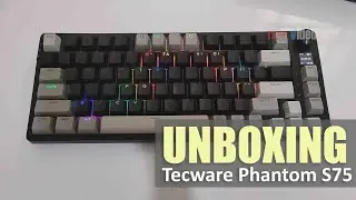 Распаковка Tecware Phantom S 75 | бюджетная механическая клавиатура