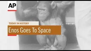Enos Goes To Space - 1961 | Today In History | 29 Nov 17