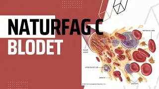 Blodet