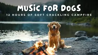 🔥12 Hours of Soothing Cozy Campfire for Dogs |🎶 Relaxing Ambient Fireplace Sounds for Calm & Comfort