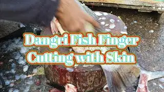 Fish Video I Dangri fish update I Karachi fishery market 