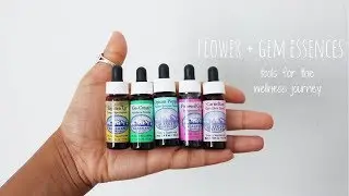 Flower + Gem Essences: Tools for the Wellness Jouney