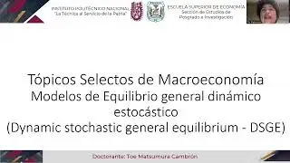 Modelos de equilibrio general dinámico estocástico (DSGE)