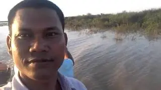 The birds in cambodia,khmer birds