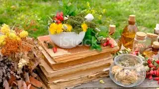 Herbal Drugs in Islam  Prophetic Medicine