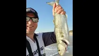 Perth Metro Tailor in tough lure fishing conditions