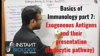Basics of Immunology Part 7: Exogeneous Antigens and their presentation (Endocytic Pathway)