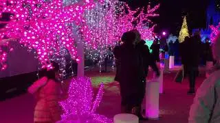 Fantastic night at Aurora Winter Festival #familytimevlog #skating #storytelling #christmaslights