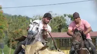 SPASE JECK ROXA CAMPE&Atilde; CAT. DERBY NO PQ ANA CRISTINA 