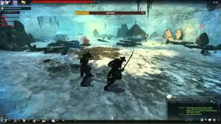 Vindictus Glitch