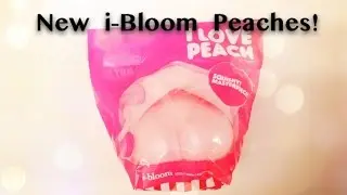 i-Bloom New Peach Squishy