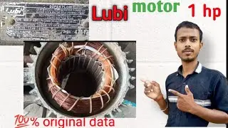 lubi 1 hp motor winding data | 1 hp lubi motor winding data