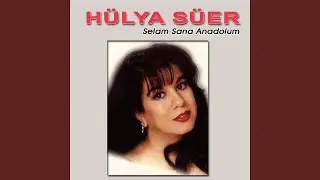 Siyah Saçlarında