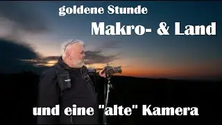 Landscape Photography | Golden Hour - Macro & Landscape and an Old Camera