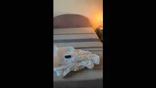 SONORO KATE Bed Sheet Set Super Soft Microfiber  #shorts #viral #tiktok
