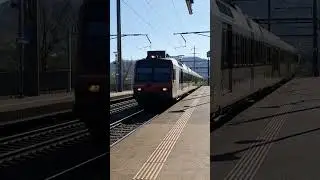 SBB DOMINO ZUG NACH Stein s&auml;ckingen🚄❤