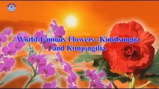 World Famous Flowers Kimilsungia and Kimjongilia [DPRK Short | English]