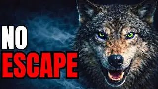 Animals That Will Hunt You Without Warning