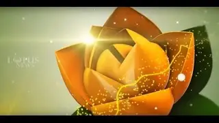 Lotus News Team