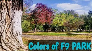 Walking Tales | F9 PARK