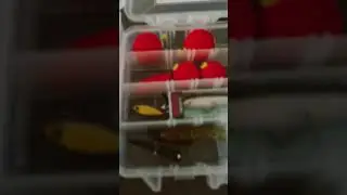 I&rsquo;m invincible#fishing #fishingkit #lures