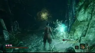 Sekiro: Full collection of 40 prayer beads. 28 Hidden Prayer Bead near Water Mill