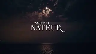 Agent Nateur Ageless Malibu Beach House Recap