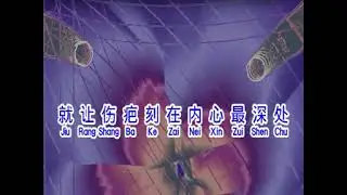 ZHUANG LE NAN QIANG BU XING WU ( 撞了南墙不醒悟 ) PINYIN LYRICS