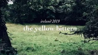 the yellow bittern [CC]