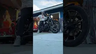 Я купил подержанный Harley Davidson ДЕШЕВО