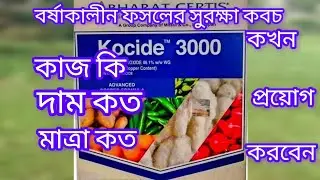Kocide 3000 Fungicide। Copper Hydroxide বর্ষাকালে সবজি ফসলকে বাঁচানোর জন্য সেরা ছত্রাকনাশক