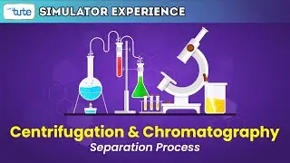 Centrifugation & Chromatography | Separation Process #Physics #3D Simulators | Letstute