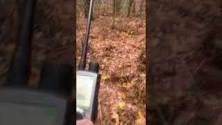 Sport dog tek 1.5 is garbage!!
