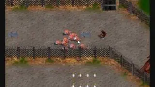 Sheep game - PC games