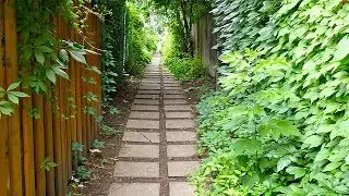Rosemont Petite-Patrie, MONTR&Eacute;AL