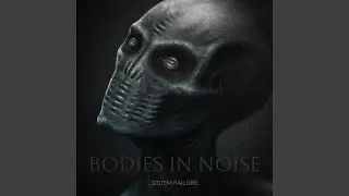 Bodies in Noise