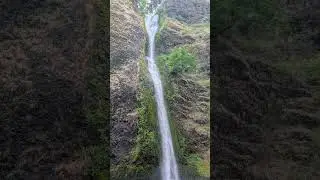 Horsetail Falls in All Its Glory | Nature&rsquo;s Masterpiece #natureshorts #waterfall  #oregonadventures